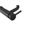 Elegant Kitchen and Bath Victor Stainless Steel Bathroom Faucet in Black