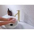 Elegant Kitchen and Bath Victor Stainless Steel Bathroom Faucet in Brushed Gold