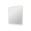 Elegant Kitchen and Bath 42 Round Led Front & Backlit Wall Mirror in Satin Gold