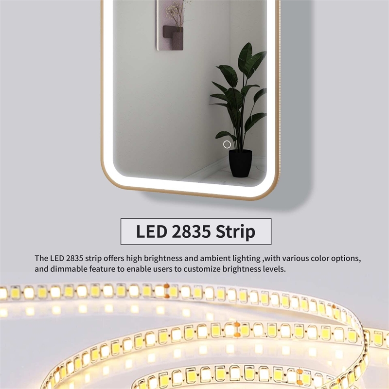 Elegant Kitchen and Bath 72 Round Led Front & Backlit Wall Mirror in Satin Gold