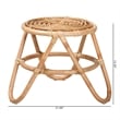 bali & pari Jacinda Modern Bohemian Natural Brown Rattan End Table