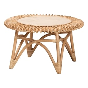 bali & pari Elani Modern Bohemian Natural Rattan Coffee Table