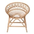 bali & pari Abriella Modern Rattan Peacock Accent Chair in Natural Brown