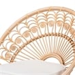 bali & pari Abriella Modern Rattan Peacock Accent Chair in Natural Brown
