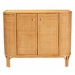 bali & pari Serissa 2-Door Rattan Storage Cabinet in Natural Brown