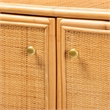 bali & pari Serissa 2-Door Rattan Storage Cabinet in Natural Brown
