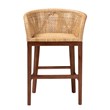bali & pari Papua Natural Rattan and Walnut Brown Acacia Wood Counter Stool