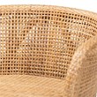 bali & pari Papua Natural Rattan and Walnut Brown Acacia Wood Counter Stool