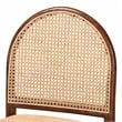 bali & pari Maryland Natural Rattan and Acacia Wood 2-Piece Dining Chair Set