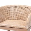 bali & pari Papua Antique White Washed Rattan and Mahogany Wood Counter Stool