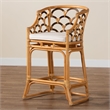 bali & pari Veneto Modern Bohemian Light Honey and Dark Brown Rattan Bar Stool