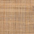 bali & pari Evania Bohemian Natural Rattan 3-Door Storage Cabinet
