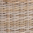 bali & pari Barossa Bohemian Gray Kubu Rattan and Mahogany Wood Dining Chair