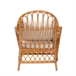 bali & pari Reina Bohemian Light Honey Rattan Arm Chair