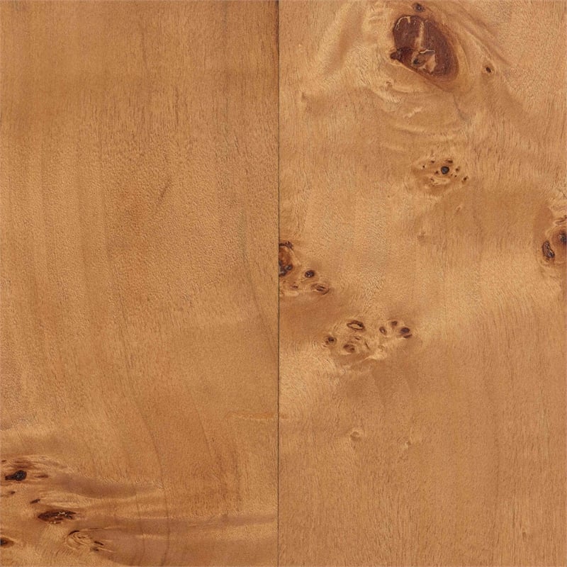 bali & pari Valora Natural Mappa Burl Wood 2-Door Console Cabinet