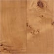 bali & pari Valora Natural Mappa Burl Wood 2-Door Console Cabinet