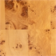 bali & pari Revelle Natural Light Mappa Burl Wood End Table