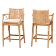 bali & pari Storsel Natural Rattan and Teak Wood 2-Piece Counter Stool Set