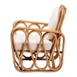 bali & pari Tiramisu Bohemian Light Honey Rattan Arm Chair