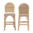 bali & pari Bilu Bohemian Natural Rattan 2-Piece Bar Stool Set