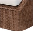 bali & pari Derris Brown Braided Rattan 2-Piece Arm Chair and Footstool Set
