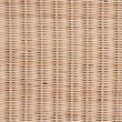 bali & pari Damita Scallop Natural Rattan Chest with Lift-top Lid