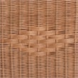 bali & pari Eamon Braided Natural Rattan Storage Bench