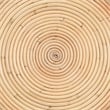 bali & pari Tokyo Laminated Natural Rattan Side Table