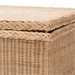 bali & pari Caden Braided Natural Rattan Chest with Lift-top Lid