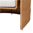 bali & pari Carina Natural Rattan 3-Piece Living Room Set