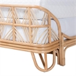 bali & pari Hadley Natural Rattan Bed Frame Queen
