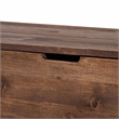 bali & pari Alfonso Wood Storage Trunk with Hinged Lid
