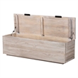 bali & pari Alvaro Wood Storage Trunk with Hinged Lid