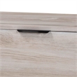 bali & pari Alvaro Wood Storage Trunk with Hinged Lid