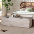 bali & pari Alvaro Wood Storage Trunk with Hinged Lid