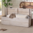 bali & pari Alvaro Wood Storage Trunk with Hinged Lid