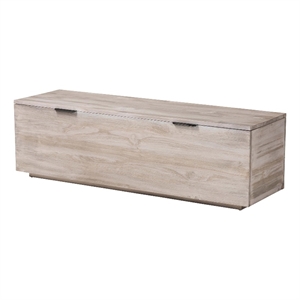 bali & pari Alvaro Wood Storage Trunk with Hinged Lid