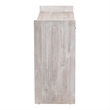 bali & pari Amado Wood Storage Trunk with Carved Front Panel
