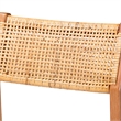 bali & pari Chatura Natural Rattan and Wood 2-Piece Bar Stool Set Bar Height