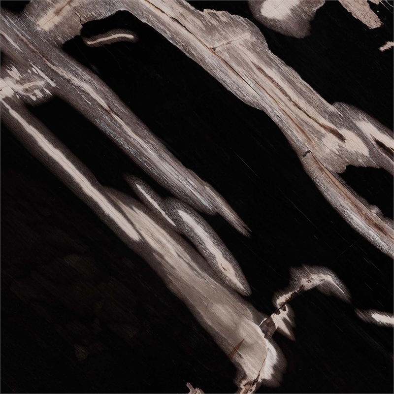 bali & pari Lavanya End Table with Petrified Wood Top Drum Accent Side Table