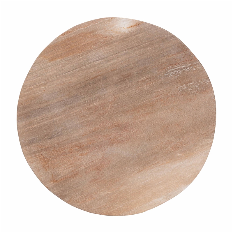 bali & pari Ziva End Table with Petrified Wood Top Pedestal Accent Side Table