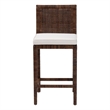 bali & pari Sofia Rattan Counter Stool with Mahogany Wood Frame Antique Coffee
