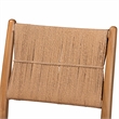 bali & pari Alva Paper Loom Woven 2-Piece Dining Chair Set with Wood Frame