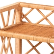 bali & pari Hendrina Natural Rattan and Mahogany Wood Shoe Cabinet 4-Tier