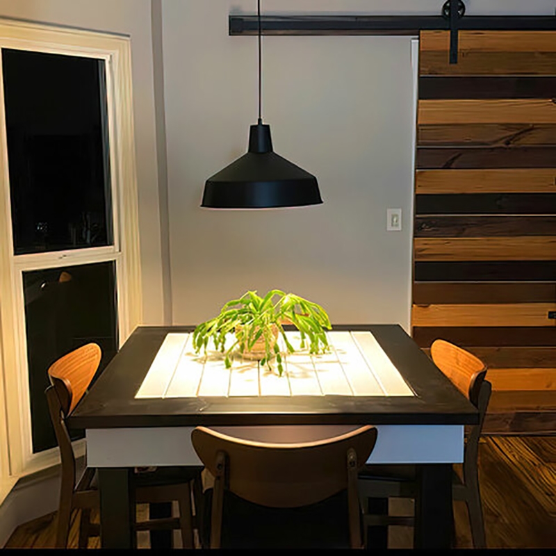 AQ Lighting Cast Iron Vintage Barn Hanging Pendant Lighting in Black