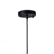 AQ Lighting Cast Iron Vintage Barn Hanging Pendant Lighting in Black