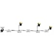 AQ Lighting Metal & Composite Well Light with Angle Shield in Brass