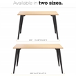 Orison 24x48 Mid Century Modern Metal Desk - Black / Platinum Oak