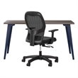 Orison Office Set Starter Pack - Navy Metal / Mesh / Trail Walnut