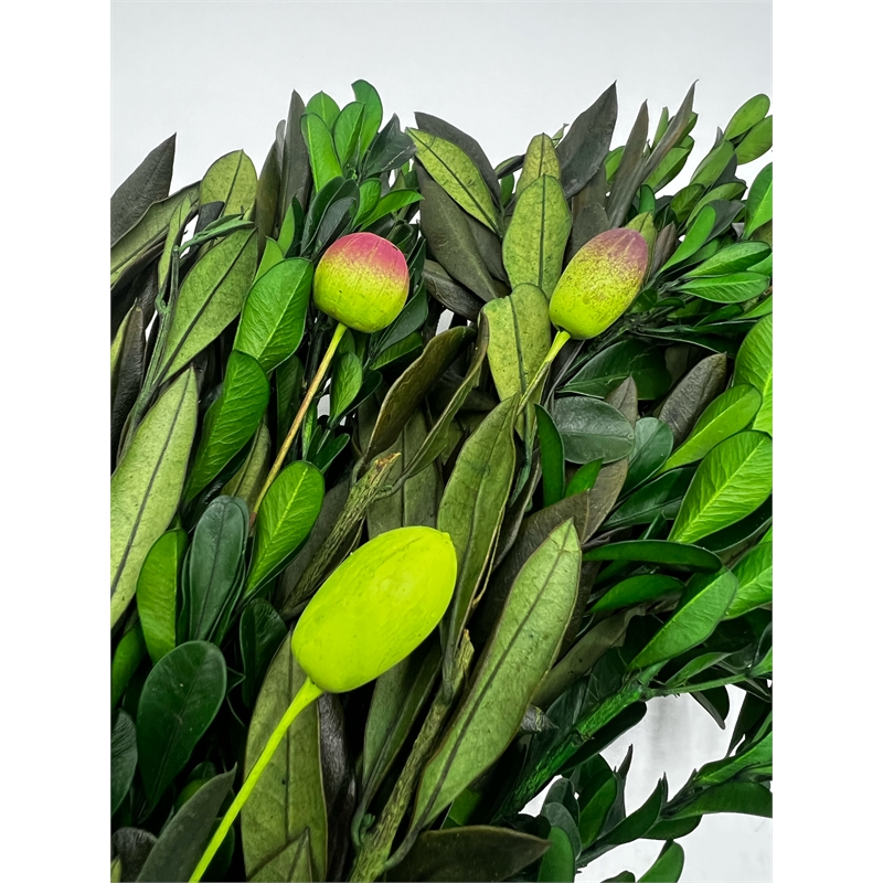 Bergamo Art Preserved Decorative Real Boxwood Leaf and Olive Leaf Wreath 21 Inch